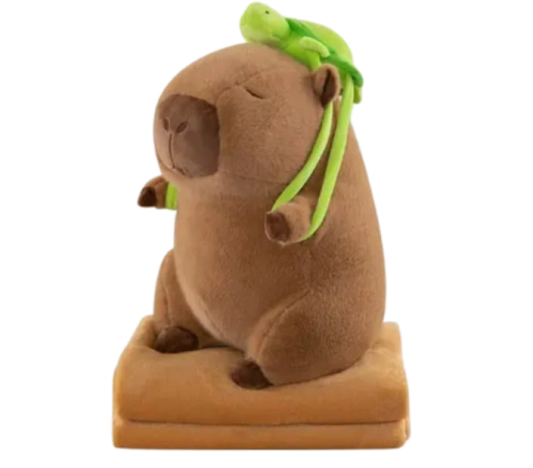 Peluche almohadón con frazada dentro